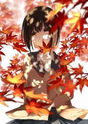 Rule 34 | 1girl, autumn leaves, blue sailor collar, blurry, blurry background, blurry foreground, branch, brown eyes, brown hair, commentary request, dappled sunlight, day, depth of field, hair between eyes, head tilt, highres, leaf, long sleeves, looking at viewer, maple leaf, neckerchief, original, outdoors, parted lips, red neckerchief, sailor collar, school uniform, serafuku, shirt, short hair, solo, sunlight, tree, yuzua
