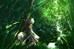 Rule 34 | 1girl, animal ears, bare shoulders, detached sleeves, forest, grass, hat, hat ribbon, inubashiri momiji, long sleeves, looking at viewer, looking back, nature, pengin (takeoff425), red eyes, red hat, ribbon, scenery, shield, shirt, silver hair, skirt, solo, sunlight, sword, tail, tokin hat, touhou, water, waterfall, weapon, wide sleeves, wolf ears, wolf tail
