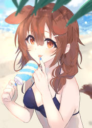 Rule 34 | 1girl, alternate costume, animal ears, beach, bikini, blue bikini, blue nails, blush, bone hair ornament, braid, breasts, brown eyes, brown hair, cleavage, closed mouth, commentary, day, dog ears, dog girl, dog tail, food, hair between eyes, hair ornament, highres, hinata (hinata-ur), holding, holding food, hololive, inugami korone, looking at viewer, medium breasts, medium hair, nail polish, outdoors, popsicle, side braids, smile, solo, swimsuit, tail, tongue, tongue out, twin braids, upper body, virtual youtuber