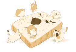 Rule 34 | :3, animal, animal focus, black cat, bread, bread slice, calico, cat, chai (drawingchisanne), commentary request, food, food focus, highres, lying, no humans, on back, original, oversized object, simple background, sitting, sitting on food, undersized animal, white cat