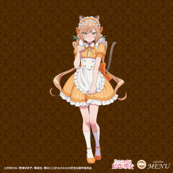 1girl absurdres alternate_costume animal_ear_fluff animal_ears apron blush cat_ears cat_girl cat_tail enmaided frilled_apron frills full_body highres inda_karane kemonomimi_mode kimi_no_koto_ga_dai_dai_dai_dai_daisuki_na_100-nin_no_kanojo long_hair maid maid_apron maid_headdress official_art puffy_sleeves tail waist_apron white_apron