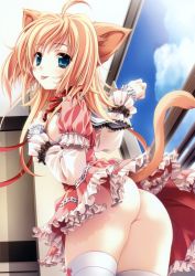 Rule 34 | 1girl, :p, ahoge, animal ears, ass, blonde hair, blue eyes, breasts, cat ears, cat tail, frills, long hair, miyama-zero, no panties, solo, tail, thighhighs, tongue, tongue out, upskirt