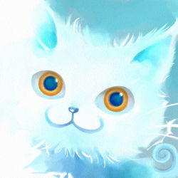 Rule 34 | :3, animal focus, awai, blue theme, brown eyes, cat, close-up, looking at viewer, no humans, original, solo