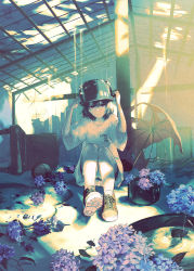 Rule 34 | 1girl, black hair, blue shorts, broken umbrella, brown footwear, chair, closed mouth, clothes writing, collarbone, commentary, day, dripping, english commentary, english text, flower, hands up, highres, hydrangea, indoors, knees up, looking at viewer, magicolorful00, medium hair, muted color, on floor, original, pale skin, pot, pot on head, purple eyes, ruins, shirt, shoe soles, shoes, short shorts, short sleeves, shorts, signature, sitting, on floor, sneakers, solo, sunlight, umbrella, white shirt, wide shot, wide sleeves
