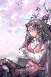 Rule 34 | 1boy, ascot, beard, black cape, black hair, cape, cherry blossoms, closed eyes, crossed arms, day, dunban (xenoblade), facial hair, highres, long hair, long sleeves, male focus, outdoors, red vest, shirt, sitting, sleeping, solo, tree, under tree, vest, white shirt, xenoblade chronicles (series), xenoblade chronicles 1, yumiyoiyoi