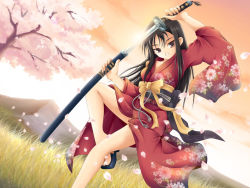 Rule 34 | 1girl, cherry blossoms, japanese clothes, katana, maxwindy, original, petals, sakuraba yuuko, sheath, solo, sword, unsheathing, weapon