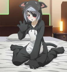 Rule 34 | 10s, 1girl, animal ears, bed, blush, cat ears, cat tail, eyepatch, highres, infinite stratos, laura bodewig, pajamas, red eyes, screencap, silver hair, solo, tail