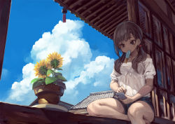 Rule 34 | 1girl, bare legs, barefoot, black bra, blue sky, bra, brown eyes, brown hair, cellphone, covered navel, day, denim, denim shorts, flower, food, food in mouth, holding, holding phone, house, long hair, looking at phone, low twintails, mouth hold, nail polish, off-shoulder shirt, off shoulder, open window, original, outdoors, phone, plant, popsicle, potted plant, red nails, see-through, shirt, short shorts, shorts, sitting, sky, smartphone, solo, summer, sunflower, sunlight, suzuno (bookshelf), sweat, toenail polish, toenails, tsurime, twintails, underwear, white shirt, window, windowsill
