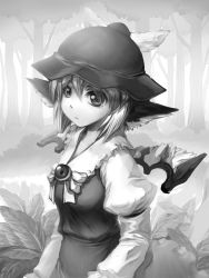 Rule 34 | 1girl, animal ears, female focus, forest, greyscale, hat, highres, monochrome, mystia lorelei, nature, outdoors, short hair, solo, touhou, tree, upper body, wings, you naka