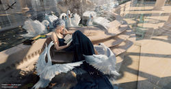 Rule 34 | 1girl, backless dress, backless outfit, bird, black dress, blue eyes, book, breasts, cleavage, dress, earrings, fountain, from above, ghostblade, grey hair, highres, jewelry, lips, medium breasts, open book, patreon username, pendant, pointy ears, princess yan, reflection, short hair, sitting, solo, stained glass, swan, tiara, watermark, web address, wlop
