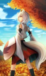 Rule 34 | 1girl, animal ears, autumn leaves, bare shoulders, detached sleeves, hat, highres, inubashiri momiji, leaf, looking at viewer, looking back, maple leaf, pom pom (clothes), red eyes, shield, short hair, silver hair, solo, tail, tokin hat, touhou, tsukasa (sntoriink), wide sleeves, wolf ears, wolf tail