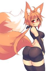 Rule 34 | 1girl, ahoge, animal ear fluff, animal ears, ass, bare shoulders, bike shorts, black gloves, black ribbon, black thighhighs, blush, breasts, closed mouth, commentary, curvy, elbow gloves, eyes visible through hair, fluffy, fox ears, fox tail, gloves, hair between eyes, hair ribbon, highres, hip focus, large tail, looking at viewer, low ponytail, medium breasts, midriff, orange hair, original, pout, red eyes, ribbon, short hair with long locks, simple background, sketch, solo, sub-res, suzu (sub-res), tail, thick thighs, thighhighs, thighs, v-shaped eyebrows, white background, wide hips