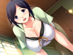 Rule 34 | 1girl, all fours, blue eyes, blue hair, blush, breasts, cleavage, from below, game cg, hanging breasts, hanitsuma, hanitsuma append disc &ldquo;cosplay tengoku&rdquo;, huge breasts, looking at viewer, open mouth, shinonome kazuhiko, smile