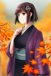 Rule 34 | alternate costume, autumn leaves, bad id, bad pixiv id, black hair, black kimono, breasts, brown eyes, forest, haguro (kancolle), hair ornament, hairclip, highres, jacket, japanese clothes, kantai collection, kimono, leaf, long sleeves, looking away, maple leaf, medium breasts, nature, obi, outdoors, purple jacket, sash, short hair, solo, tomoyo kai, tree, wide sleeves