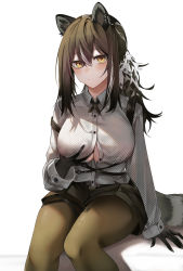 Rule 34 | 1girl, animal ears, animal hands, arknights, arm at side, black gloves, black shorts, blush, breast hold, breasts, brown hair, brown pantyhose, button gap, cleavage, closed mouth, collared shirt, cross tie, expressionless, feet out of frame, gloves, grey hair, grey shirt, hair between eyes, highres, large breasts, long hair, long sleeves, multicolored hair, no bra, pantyhose, pantyhose under shorts, ponytail, raccoon ears, raccoon girl, raccoon tail, robin (arknights), ru zhai, shirt, shorts, sidelocks, simple background, sitting, solo, streaked hair, tail, two-tone hair, white background