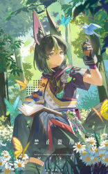 Rule 34 | 1boy, absurdres, animal ear fluff, bird, bird on hand, black gloves, black hair, black pants, blue eyes, book on lap, bug, butterfly, closed mouth, commission, day, flower, forest, genshin impact, gloves, green hair, hair between eyes, highres, insect, medium hair, multicolored hair, nature, outdoors, pants, pupuchi82, sample watermark, short sleeves, sitting, smile, solo, streaked hair, tighnari (genshin impact), watermark, white flower