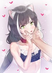 Rule 34 | 1boy, 1girl, animal collar, animal ear fluff, animal ears, black hair, blush, bra, breasts, cat ears, cat girl, cheek pinching, cleavage, collar, fingernails, frills, green eyes, heart, highres, karyl (princess connect!), lips, long hair, low twintails, multicolored hair, open mouth, out of frame, pinching, pink background, princess connect!, simple background, small breasts, streaked hair, subachi, tearing up, twintails, twitter username, underwear, upper body, watermark, white hair