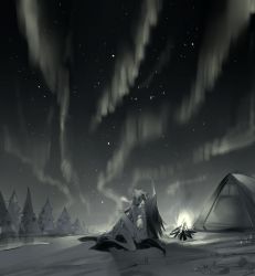 Rule 34 | 2girls, animal ears, arknights, arm support, aurora, blanket, breasts, breath, camping, commentary, completely nude, female focus, fire, greyscale, hair ornament, hairclip, highres, implied futanari, kneeling, lappland (arknights), light particles, long hair, looking away, medium breasts, meng ziya, monochrome, multiple girls, night, nude, nudist, outdoors, pointing, pointing up, river, scar, scar across eye, scar on face, sitting, sky, star (sky), starry sky, symbol-only commentary, tail, tent, texas (arknights), tree, wide shot, wolf ears, wolf tail, yuri