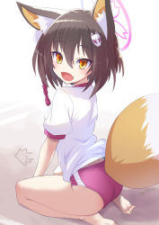 Rule 34 | 1girl, animal ear fluff, animal ears, ass, barefoot, blouse, blue archive, braid, brown eyes, brown hair, buruma, fang, feet, fox ears, fox girl, fox tail, from behind, gym uniform, izuna (blue archive), krono tokage, looking at viewer, looking back, open mouth, red buruma, shirt, short hair, short sleeves, sitting, smile, soles, solo, tail, thighs, toes, white shirt