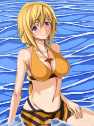 Rule 34 | 10s, 1girl, bare shoulders, bikini, blonde hair, blush, body blush, braid, breasts, charlotte dunois, cleavage, collarbone, female focus, groin, hair between eyes, hand on thigh, highres, infinite stratos, jewelry, large breasts, light smile, long hair, looking at viewer, mei ichi, navel, outdoors, partially submerged, pendant, purple eyes, shiny skin, sitting, solo, swimsuit, thighs, water