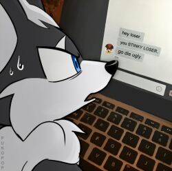Rule 34 | 1boy, artist name, black fur, blue eyes, computer, from side, furry, furry male, infinite (sonic), jackal boy, laptop, photo background, profile picture, pukopop, shadow the hedgehog, sonic (series), sweatdrop, text messaging, two-tone fur, white fur
