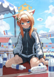 Rule 34 | 1girl, absurdres, animal ear fluff, animal ears, blue archive, blue eyes, blush, bottle, cooler, duplicate, flower, gym shorts, gym uniform, hair flower, hair ornament, hairband, halo, headband, highres, holding, holding bottle, jacket, kokukyukeo, long hair, long sleeves, looking at viewer, mari (blue archive), mari (track) (blue archive), multicolored clothes, multicolored jacket, official alternate costume, open mouth, orange hair, outdoors, pixel-perfect duplicate, plastic bottle, shorts, sitting, smile, solo, sweat, teeth, track jacket, two-tone jacket, wariza, water bottle, white flower, white hairband, white headband