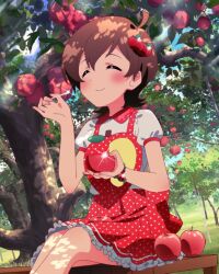 Rule 34 | 1girl, ahoge, annindoufu (oicon), apple, apple hair ornament, apple tree, back bow, bead bracelet, beads, bench, blue sky, bow, bowl, bracelet, brown hair, closed eyes, closed mouth, cloud, collar, collared shirt, day, dress, feet out of frame, food, food-themed hair ornament, frilled dress, frills, fruit, gleam, grass, hair ornament, holding, holding bowl, holding spoon, idolmaster, idolmaster million live!, idolmaster million live! theater days, jewelry, kinoshita hinata, light blush, official art, polka dot, polka dot bow, polka dot dress, puffy short sleeves, puffy sleeves, red bow, red collar, red dress, shirt, short dress, short hair, short sleeves, sitting, sky, smile, solo, spoon, suspenders, tree, white shirt