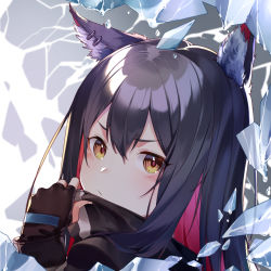 Rule 34 | 1girl, animal ear fluff, animal ears, arknights, blush, fingerless gloves, frown, gloves, long hair, looking at viewer, multicolored hair, portrait, solo, texas (arknights), user yzzn3747, white background