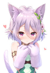 Rule 34 | 1girl, animal ear fluff, animal ears, animal hands, antenna hair, bare shoulders, blush, closed mouth, collarbone, commentary request, dress, elf, flower, gloves, green dress, hair between eyes, hair flower, hair ornament, hands up, heart, highres, kemonomimi mode, kokkoro (princess connect!), light smile, looking at viewer, parted lips, paw gloves, pointy ears, princess connect!, purple eyes, purple hair, short hair, simple background, sleeveless, sleeveless dress, solo, tail, tail raised, tomo (tmtm mf mf), upper body, white background, white flower