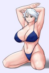 Rule 34 | 1girl, arm up, bikini, black eyes, breasts, christie (doa), cleavage, dead or alive, highres, large breasts, short hair, silver hair, smile, solo, sugata (artist), swimsuit, tecmo