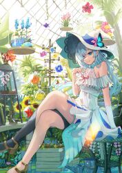 Rule 34 | 1girl, black thighhighs, blue bow, blue bowtie, blue dress, blue eyes, blue flower, blue hair, blue nails, book, bow, bowtie, breasts, brown footwear, bucket, closed mouth, commentary, crossed legs, dress, elbow gloves, eyes visible through hair, feet out of frame, fingernails, flask, flower, gloves, greenhouse, hair over one eye, hand up, hanging plant, hat, high heels, highres, indoors, long hair, looking at viewer, microscope, nail polish, on stool, orange flower, original, pink flower, red flower, red ribbon, ribbon, sakatsuki yakumo, single bare leg, single elbow glove, single thighhigh, sitting, small breasts, smile, solo, sunflower, thighhighs, two-tone dress, white dress, white gloves, white hat, witch hat, yellow flower