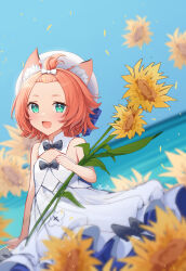 Rule 34 | absurdres, animal ear fluff, animal ears, bangs pinned back, blue sky, blurry, bow, calico, carrying, cat ears, cat girl, cat tail, depth of field, detached collar, diona (genshin concert) (genshin impact), diona (genshin impact), dress, field, flower, flower field, forehead, frilled dress, frills, genshin impact, green eyes, hair bow, hair ribbon, hat, highres, holding, holding flower, official alternate costume, open mouth, outdoors, pink hair, ribbon, sky, sunflower, sunflower field, tail, thick eyebrows, white dress, wind, zx961219
