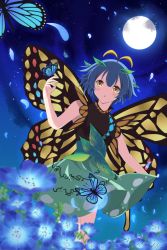 Rule 34 | 1girl, absurdres, animal, antennae, aqua hair, blue flower, blush, bug, butterfly, butterfly wings, dress, eternity larva, fairy, flower, full moon, green dress, highres, insect, insect wings, leaf, leaf on head, moon, multicolored clothes, multicolored dress, nemophila (flower), parted lips, shinbarian, short hair, short sleeves, solo, touhou, wings, yellow eyes