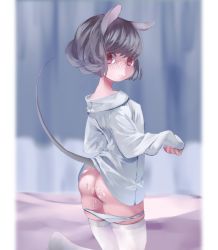 Rule 34 | 1girl, aftersex, animal ears, ass, blush, covered erect nipples, cowboy shot, cum, cum on ass, grey hair, kneeling, long sleeves, looking at viewer, looking back, mouse ears, mouse tail, naked shirt, namauni, nazrin, panties, panty pull, pink eyes, shirt, solo, tail, thighhighs, touhou, underwear, white thighhighs