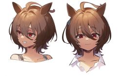 Rule 34 | 1girl, agnes tachyon (umamusume), ahoge, animal ears, brown hair, closed mouth, collarbone, collared shirt, earrings, hair between eyes, highres, horse ears, jewelry, looking at viewer, looking to the side, medium hair, mouth hold, multiple views, nu tarou (tr84635391), open mouth, portrait, red eyes, shirt, single earring, smile, teeth hold, umamusume, white background, white shirt