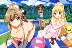 Rule 34 | 10s, 3girls, :d, absurdres, all fours, alternate hairstyle, amagi brilliant park, antenna hair, bag, ball, bare shoulders, barefoot, beach umbrella, beachball, bikini, bikini skirt, blonde hair, blue eyes, blush, breast hold, breasts, brown eyes, brown hair, bush, casual one-piece swimsuit, chuujou shiina, cleavage, cloud, collarbone, covering breasts, covering privates, feet, frills, frown, hair intakes, highres, inflatable dolphin, inflatable orca, inflatable toy, inflatable whale, innertube, kakuda yuki, kneeling, large breasts, latifa fleuranza, long hair, looking at viewer, lotion, megami magazine, multiple girls, navel, official art, one-piece swimsuit, open mouth, outdoors, palm tree, ponytail, pool, poolside, red hair, scan, sento isuzu, shiny skin, sitting, sky, smile, strap slip, sunscreen, sweatdrop, swim ring, swimsuit, toes, topless, towel, tree, twintails, umbrella, undressing, untied bikini, water