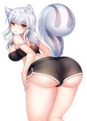 Rule 34 | 1girl, animal ears, ass, bare shoulders, blush, breasts, crop top, from behind, highres, huge ass, large breasts, leaning, leaning forward, long hair, looking at viewer, orange eyes, original, papo, shiny clothes, shiny skin, shorts, sideboob, silver hair, solo, squirrel ears, squirrel tail, sweat, tail
