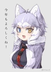 Rule 34 | 1girl, :3, adapted costume, animal ear fluff, animal ears, black sweater, blue eyes, check translation, coat, dog (mixed breed) (kemono friends), dog ears, dog girl, fang, fur trim, grey coat, grey hair, harness, heterochromia, hood, hood down, hooded jacket, jacket, kemono friends, multicolored clothes, multicolored hair, new year, nyifu, open mouth, short hair, solo, sweater, translation request, turtleneck, upper body, white coat, white hair, winter clothes, yellow eyes