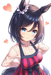 Rule 34 | 1girl, animal ears, apron, black hair, blue eyes, blush, breasts, closed mouth, eishin flash (umamusume), hair between eyes, heart, highres, horse ears, horse girl, horse tail, large breasts, long sleeves, red apron, ribbed sweater, short hair, simple background, smile, solo, sweater, tail, tomo (tmtm mf mf), umamusume, upper body, white background, white sweater