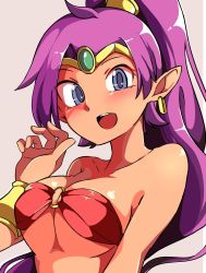 Rule 34 | 1girl, bare shoulders, blue eyes, breasts, circlet, earrings, gokuu (acoloredpencil), highres, jewelry, long hair, looking at viewer, medium breasts, o-ring, o-ring top, pointy ears, ponytail, purple hair, shantae, shantae (series), solo, upper body