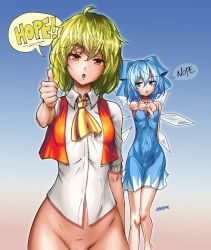 Rule 34 | absurdres, ahoge, annoyed, blue hair, bottomless, cirno, english text, green hair, highres, ice, kazami yuuka, out-of-frame censoring, rahime, ribbon, thumbs down, thumbs up, touhou