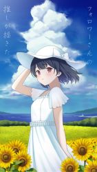 Rule 34 | 1girl, black hair, blue sky, blush, bow, cloud, cloudy sky, commentary request, day, dress, flower, followers favorite challenge, from side, hand on headwear, hat, hat bow, highres, idolmaster, idolmaster shiny colors, looking at viewer, morino rinze, multiple drawing challenge, ocean, outdoors, parted lips, red eyes, short hair, short sleeves, sky, solo, sunflower, translation request, white bow, white dress, white hat, wotori