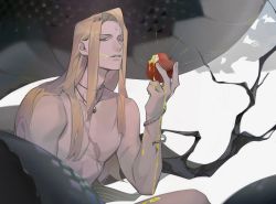 Rule 34 | absurdres, apple, bite mark, blonde hair, blue eyes, dripping, eating, final fantasy, final fantasy xiv, food, forehead jewel, fruit, highres, holding, holding food, holding fruit, jewelry, juice, long hair, looking at viewer, male focus, muscular, muscular male, necklace, nude, parted bangs, parted lips, pectorals, red apple, scar, scar on arm, scar on chest, shanya0015, snake, topless male, zenos yae galvus