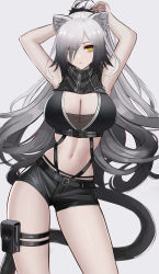 Rule 34 | 1girl, absurdres, animal ear fluff, animal ears, arknights, armpits, arms up, bare arms, bare shoulders, black scarf, black shorts, breasts, cat ears, cat tail, cleavage, commentary, cowboy shot, crop top, eternity (shadeh), grey background, hair over one eye, highres, large breasts, long hair, looking at viewer, midriff, navel, pouch, ringed eyes, scarf, schwarz (arknights), short shorts, shorts, silver hair, simple background, sleeveless, solo, standing, stomach, tail, thigh pouch, thigh strap, thighs, very long hair, yellow eyes