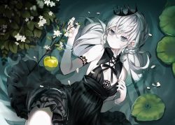 Rule 34 | 1girl, absurdres, apple, bare shoulders, bizet, black dress, braid, breasts, closed mouth, cowboy shot, crown, dress, flower, food, fruit, green apple, grey eyes, hand up, highres, huge filesize, long hair, looking at viewer, lying, on back, original, pale skin, petals, small breasts, solo, water, white flower