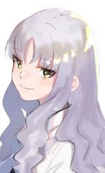 Rule 34 | 1girl, c:, caren hortensia, closed mouth, fate/hollow ataraxia, fate (series), grin, highres, konakuso, long hair, looking at viewer, simple background, smile, smug, solo, type-moon, upper body, wavy hair, white background, white hair, yellow eyes