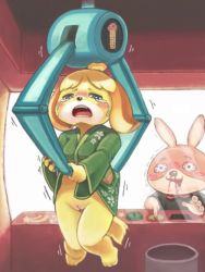 Rule 34 | 1boy, 1girl, alternate costume, animal crossing, animal ears, animal feet, animal nose, arcade bunny, barefoot, black eyes, black shirt, blonde hair, blood, bloodshot eyes, blush, body fur, bow, bowtie, breasts, constricted pupils, crane game, crying, dog ears, dog girl, dog tail, drooling, embarrassed, furry, furry female, glass, green kimono, half-closed eyes, isabelle (animal crossing), japanese clothes, kimono, knees together feet apart, long sleeves, looking at another, looking down, motion lines, nintendo, nintendo badge arcade, no panties, nose blush, nosebleed, nousen, open mouth, pink fur, push-button, pussy, rabbit boy, rabbit ears, red bow, red bowtie, saliva, shirt, short hair, small breasts, smile, solo focus, star (symbol), tail, tears, teeth, thigh gap, topknot, trembling, two-tone fur, uncensored, uvula, white fur, wide sleeves, window, yellow fur
