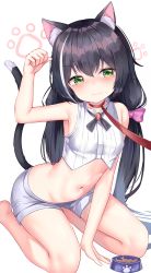 Rule 34 | 1girl, absurdres, animal ear fluff, animal ears, arm support, arm up, bad id, bad pixiv id, bare arms, bare legs, bare shoulders, black hair, blush, bow, bowl, breasts, cat ears, cat girl, cat tail, closed mouth, commentary request, cowboy shot, crop top, green eyes, hair bow, highres, karyl (princess connect!), kneeling, leaning forward, leash, long hair, low twintails, mannack, multicolored hair, navel, paw pose, paw print, paw print background, pet bowl, pink bow, princess connect!, short shorts, shorts, simple background, sleeveless, small breasts, smile, solo, stomach, streaked hair, tail, twintails, very long hair, viewer holding leash, white background, white hair, white shorts