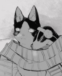 Rule 34 | 2boys, animal ears, aoi (monotone blue), cat boy, cat ears, closed eyes, commentary, earmuffs, furry, furry male, furry with furry, greyscale, hachi (monotone blue), head on another&#039;s shoulder, heiqi0, highres, looking to the side, monochrome, monotone blue (nagabe), multiple boys, reptile boy, scarf, sitting, slit pupils