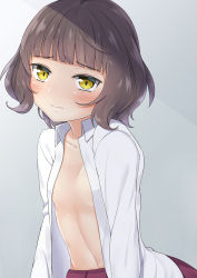 Rule 34 | 1girl, blunt bangs, blush, breasts, brown eyes, brown hair, closed mouth, collarbone, collared shirt, commentary request, grey background, head tilt, hekomii, kantai collection, kishinami (kancolle), long hair, long sleeves, looking at viewer, navel, open clothes, open shirt, pleated skirt, purple skirt, shirt, skirt, small breasts, solo, two-tone background, upper body, white shirt